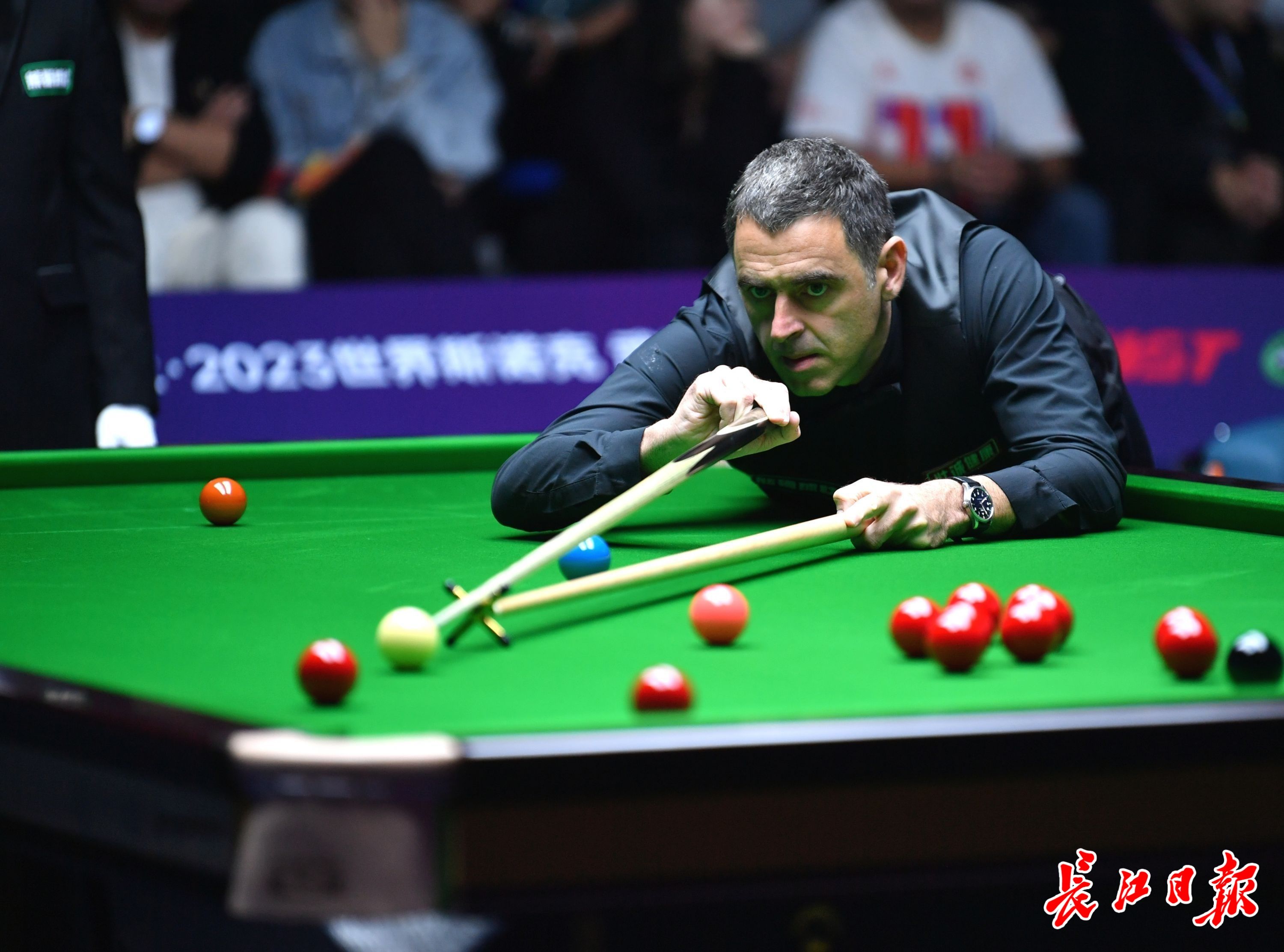 能迅速适应 能迅速适应