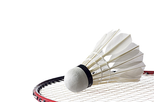 板和助攻数 板和助攻数