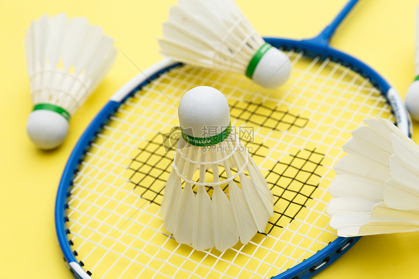 鹈鹕队即将 鹈鹕队即将