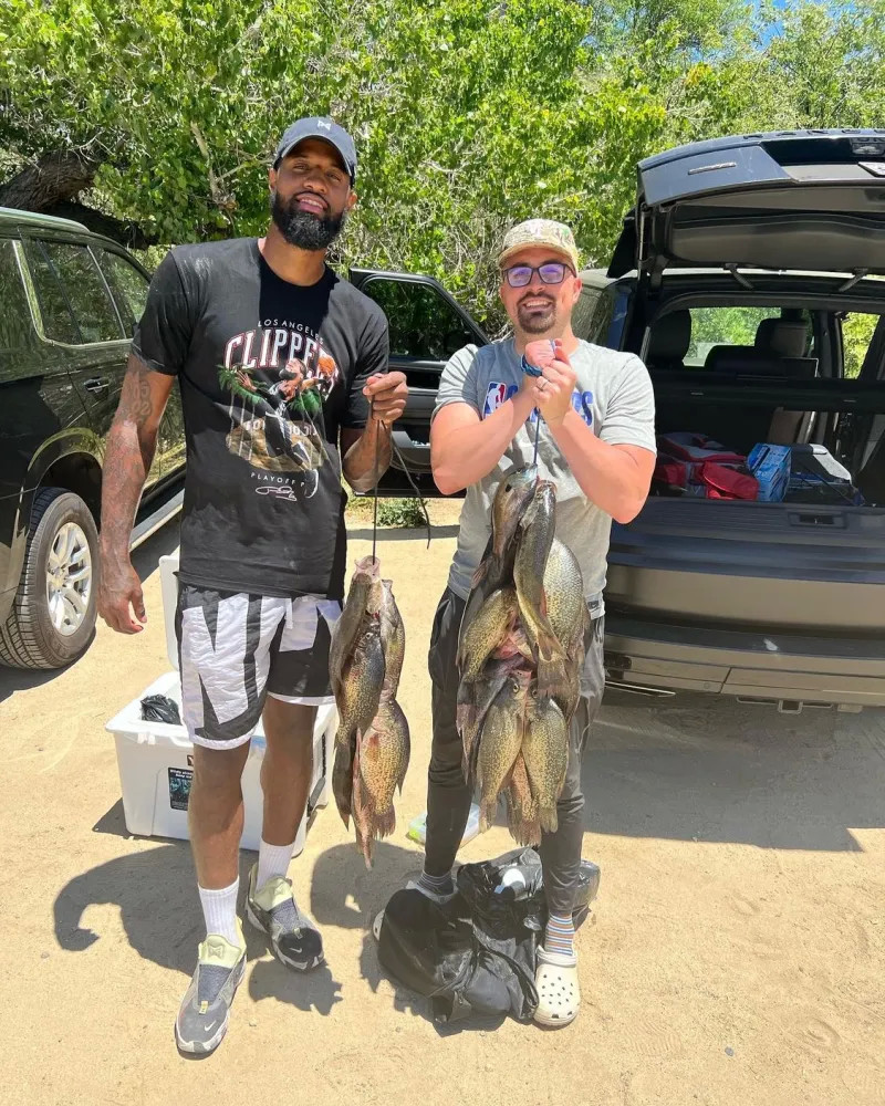 供了详实的 供了详实的